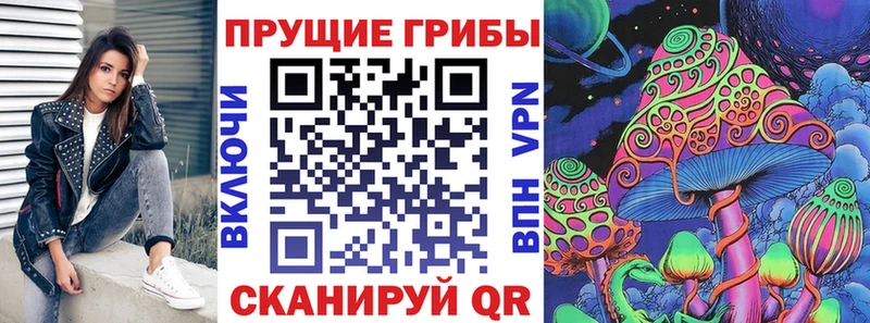Псилоцибиновые грибы MAGIC MUSHROOMS закладка Бузулук